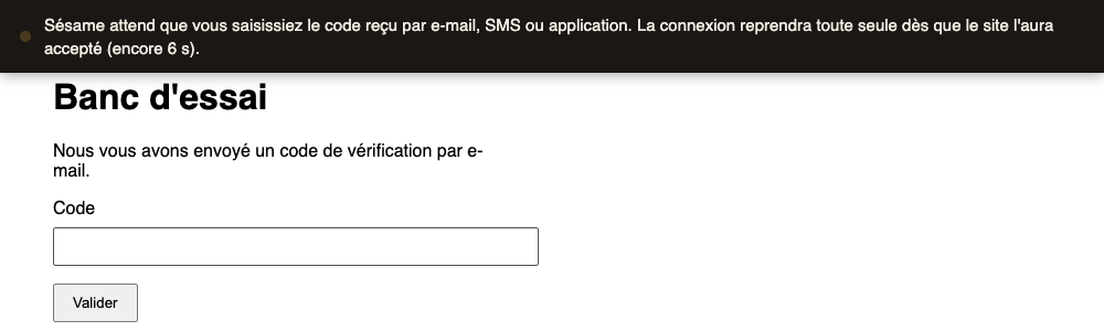 Le bandeau Sésame en haut de la page qui attend la saisie du code reçu par e-mail ou SMS
